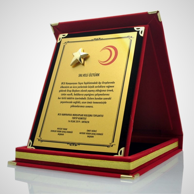 yildiz-album-plaket Yıldızlı Albüm Plaket Modelleri